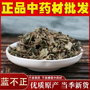 中药材 蓝布正 蓝不正 红心草水杨梅追风七路边黄 500g