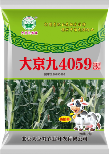 高产稳产种籽玉米种子大京九价低
