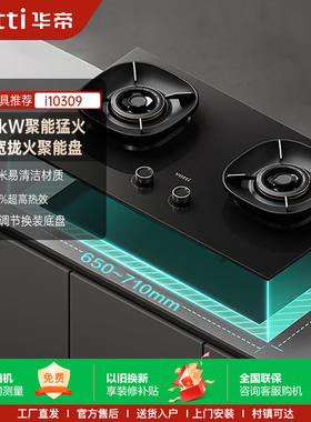 Vatti/华帝 i10309燃气灶煤气家用双灶天然气液化定时灶具猛火