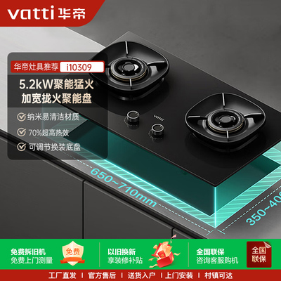 Vatti/华帝 i10309燃气灶煤气家用双灶天然气液化定时灶具猛火