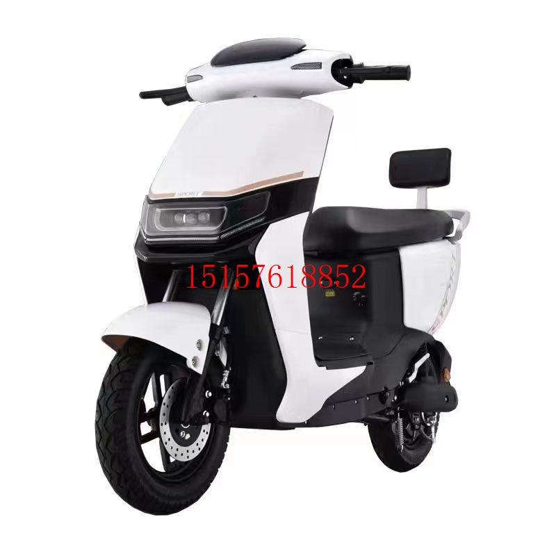 老百姓B02电瓶车新国标B02尚羚金牛配件五星钻豹GY2电动车电瓶外