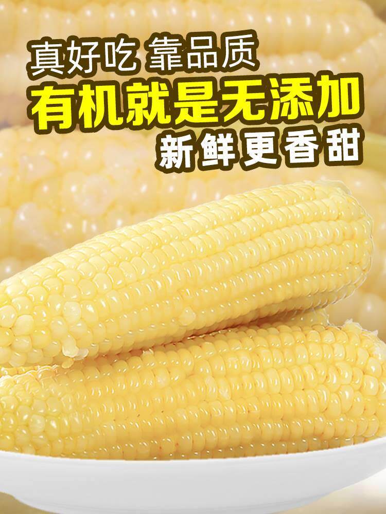 天勤粒粒SGZ净黄甜糯玉包米真空装新鲜糯腹粘黏棒子代餐饱速食整使用感如何?