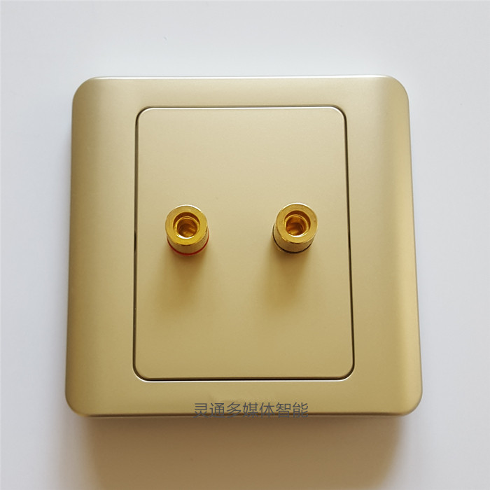 86型金色2头音箱面板香蕉头1组音箱接线柱二孔音响接一个音响喇叭