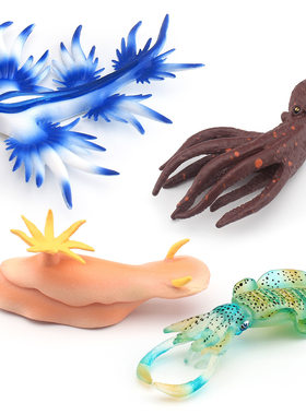 仿真海洋生物模型海兔海蛞蝓
