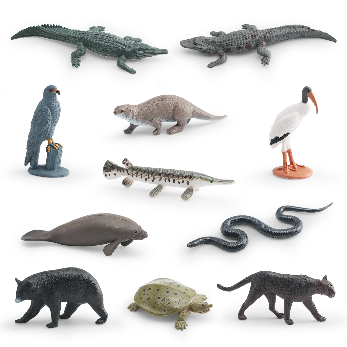 仿真沼泽地区动物模型