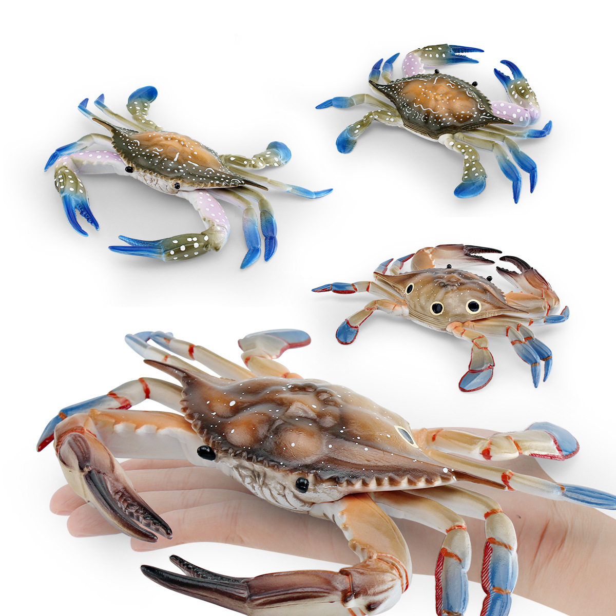 仿真大号梭子蟹摆件海洋生物