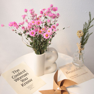 天然风干真花鲁丹鸟罗丹斯干花束+花瓶现代家居装饰摆件拍照道具