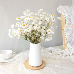 天然真花鲁丹鸟风干花束小清新文艺拍照款野餐花束罗丹斯丝永生花