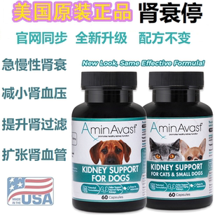 美国胺肾AminAvast肾衰停猫狗用肾康胺肽肾透慢性肾衰肾损伤 60粒