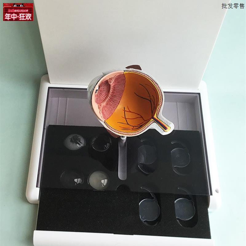 眼睛新款模型晶片虹膜器官解剖白内障I光学教仪医用医学教学教具