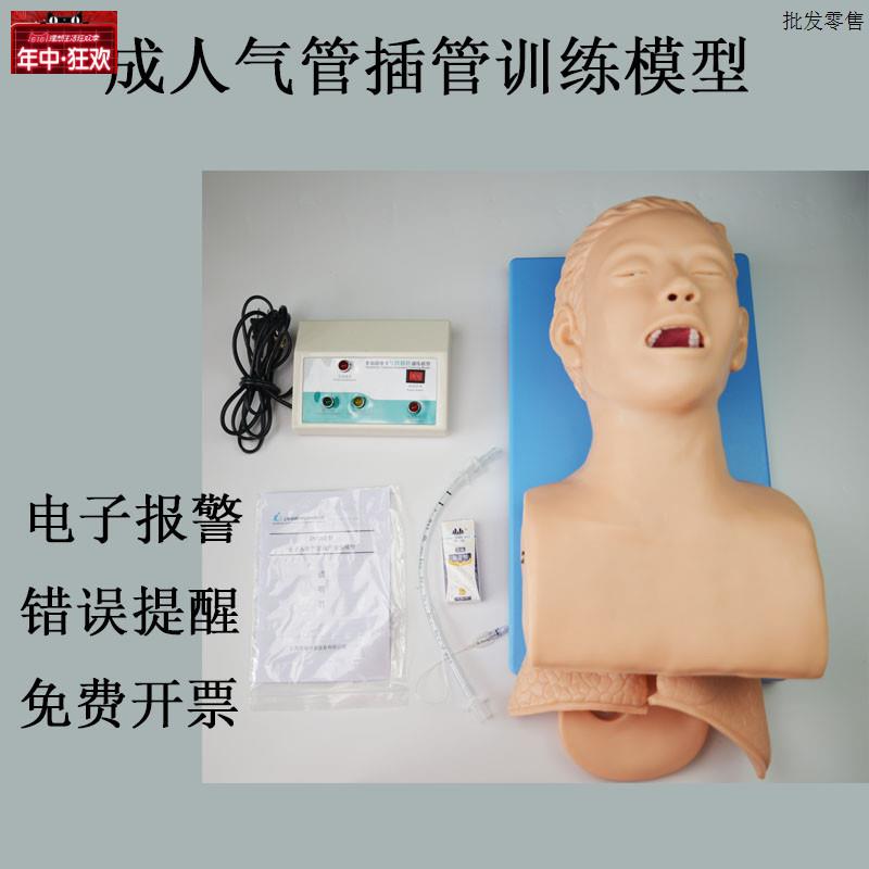 实训人体气管插管训练模型带U电子牙齿报警成人急救训练教学模具