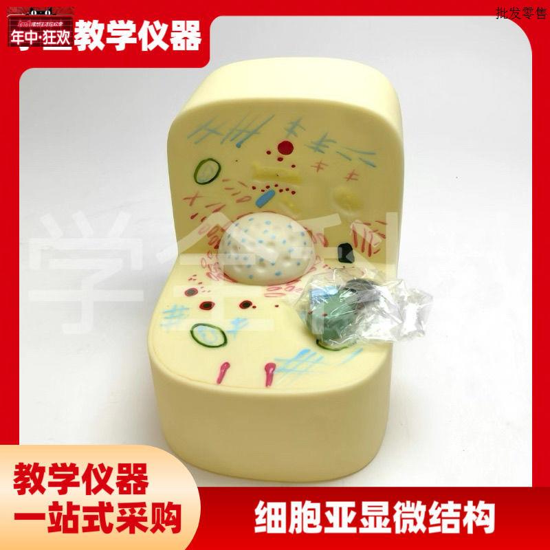 细胞亚显微结构模型初高中生物实验器材中学教学c仪器实验器材