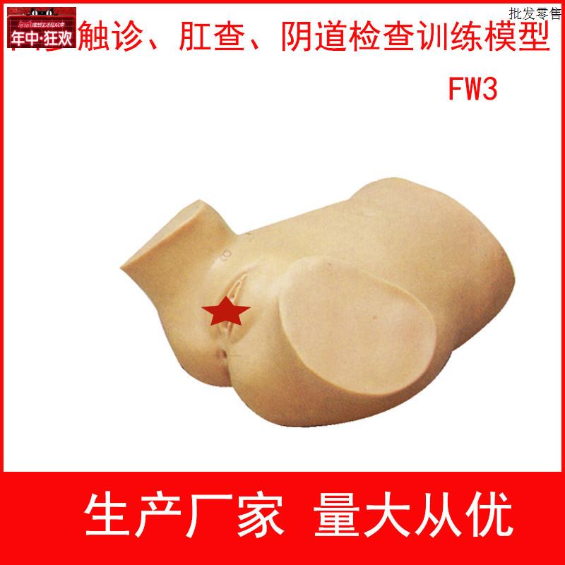 四步触诊肛查阴道检查训练模m型妇产科示教模型妇科技能操作