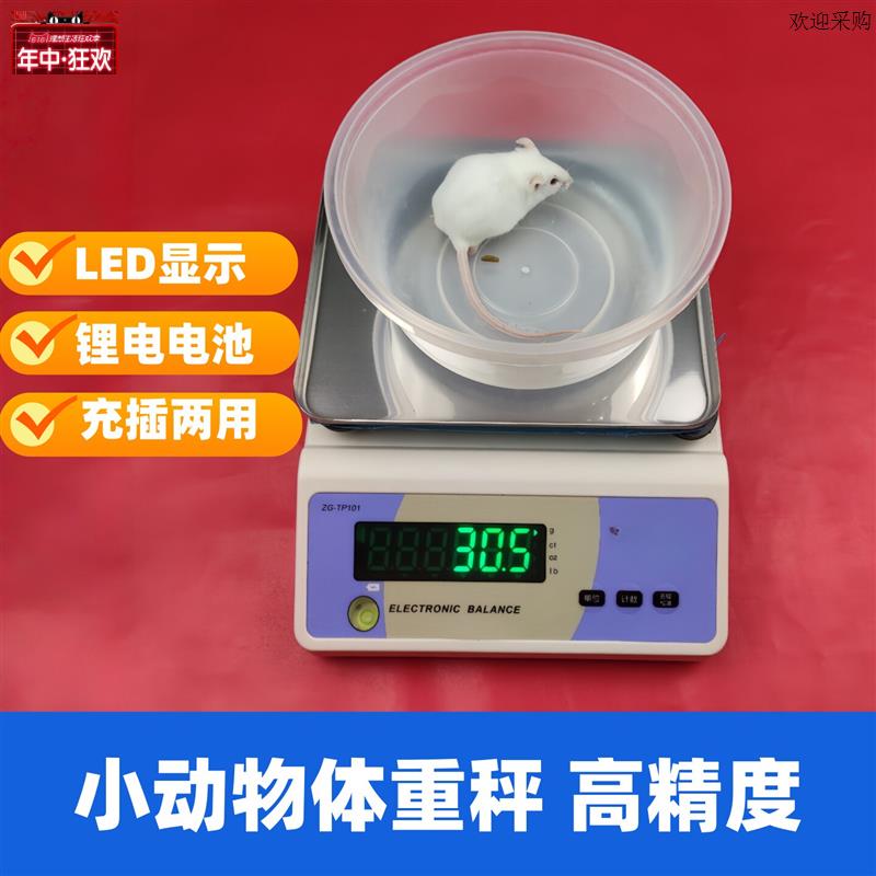 小鼠体重计小动物电子秤大鼠电子天平高C精度测量秤动物实验称重