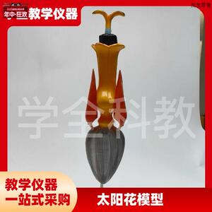 放大太阳花模型花蕊花瓣构造解剖生物教学仪器高v中生物教学用具