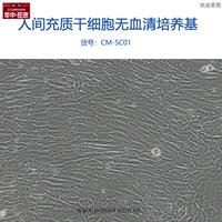 普诺赛CM-SC01人间充质干细胞无血清培养基5j00ML科研实验开票正