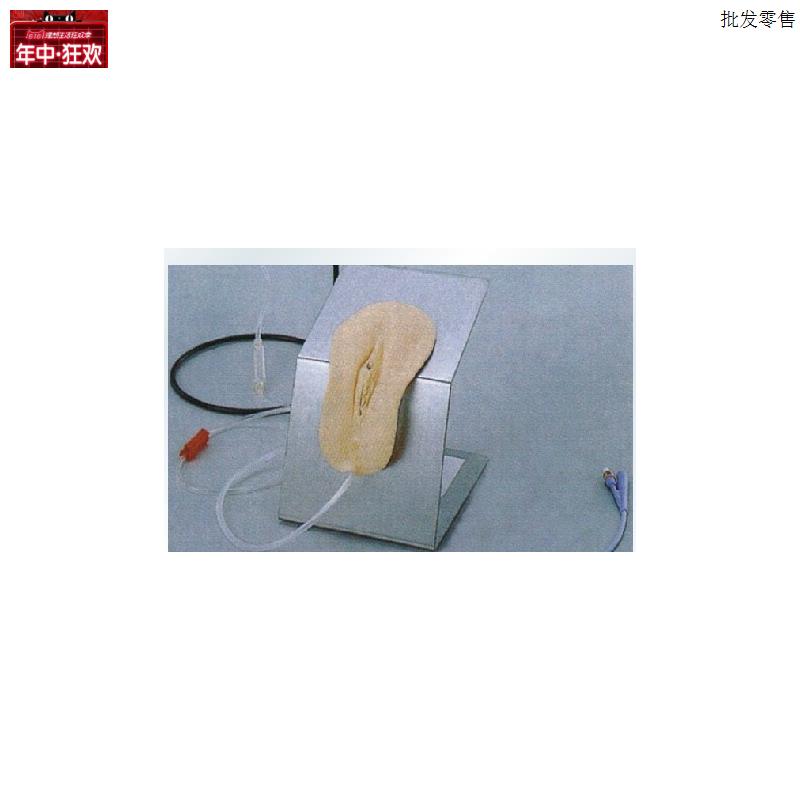 高级着装式女K性导尿模型
