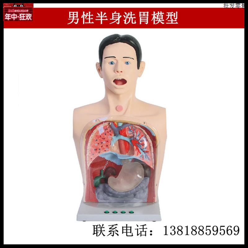 男性半身洗胃模型鼻饲法.气管切开护理可直观演示操作