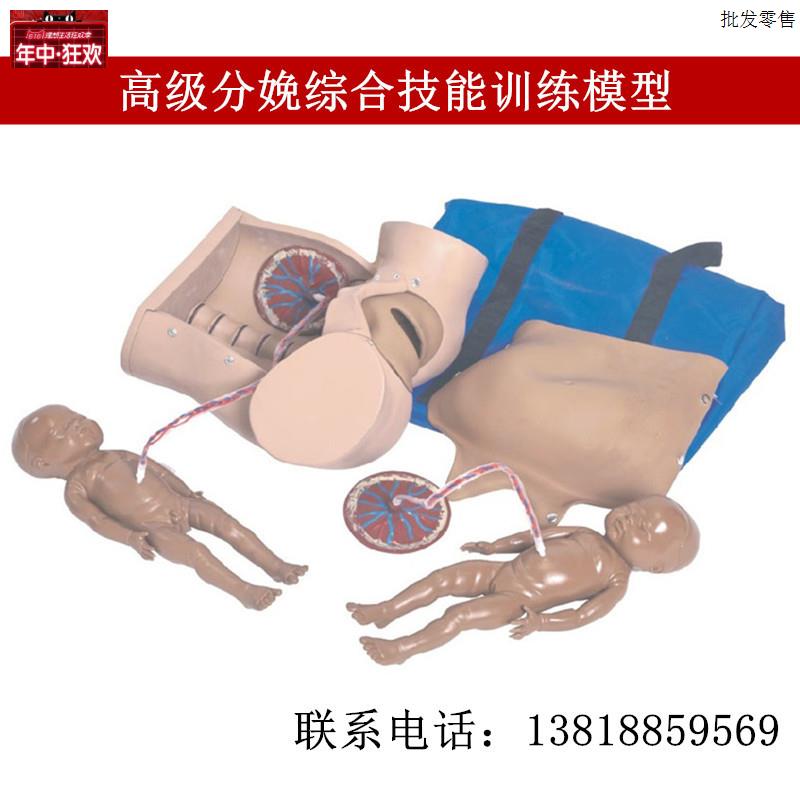 高级分娩综合技M能训练模型