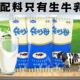 乃王纯牛奶奶粉早餐营养速溶中老年成人冲饮小包装 生牛乳奶粉