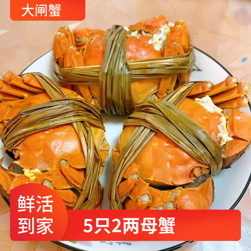 5只2两全母蟹包邮死亡包赔
