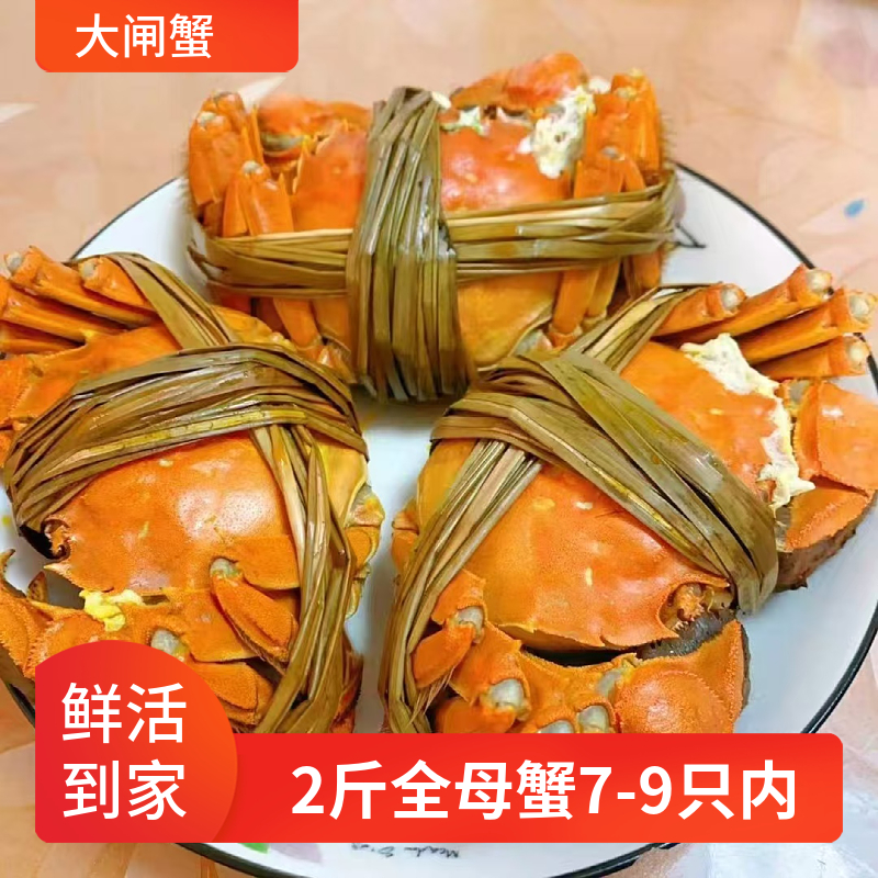 净重鲜活特大大闸蟹包邮