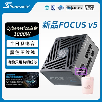 海韵GX1000电源V5新版限时送杯