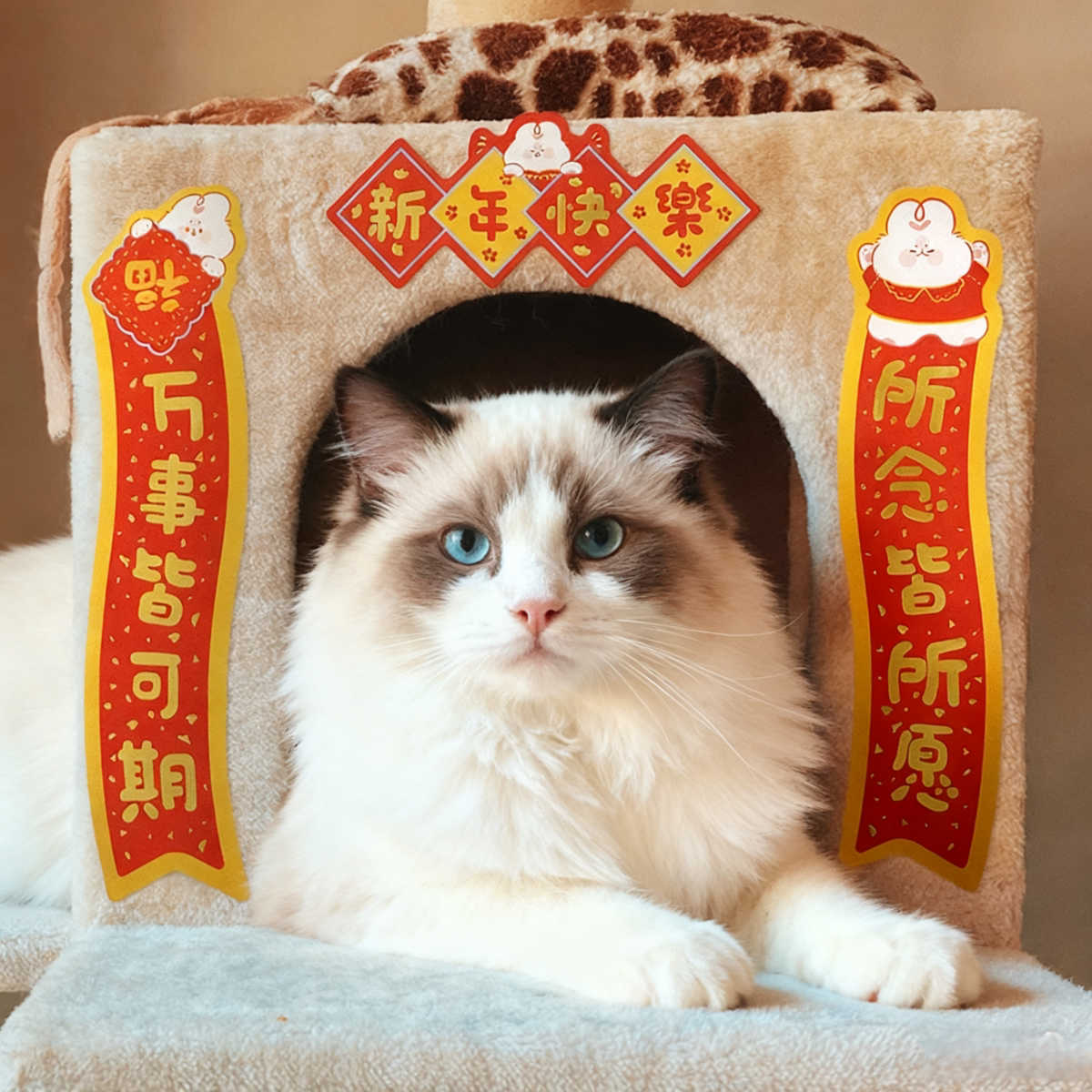 新年迷你对联贴纸新年可爱好运喜庆祝福宠物猫窝玻璃相框装饰贴纸