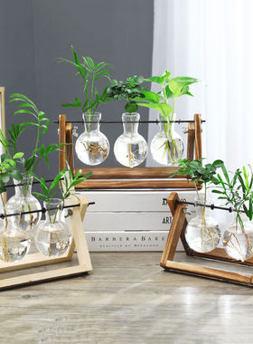 创意木架水培植物玻璃桌面