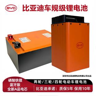 比亚迪BYD电动车锂电池48V60V72V锂磷酸铁锂外卖电摩两三四轮电瓶