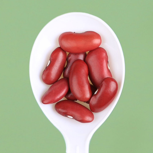 当季新粮大红芸豆红腰豆农家自种