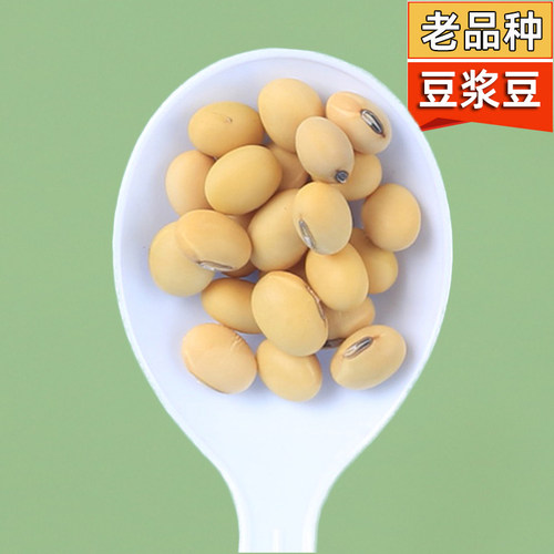 安河之恋老品种黄豆打豆浆3斤