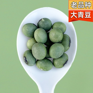 农家自种 老品种大粒生青皮豆土青豆农户自留干青皮黄豆 新货 当季