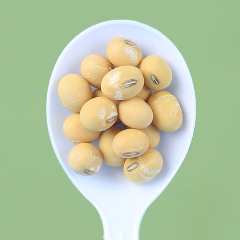 高出浆老品种土黄豆有肚脐椭圆形