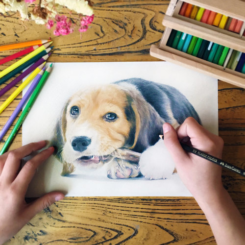 手绘宠物头像定制像素描彩铅