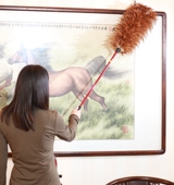 红宝坊鸡毛掸子除尘扫灰家用车用可伸缩不掉毛家务清洁加长可水洗