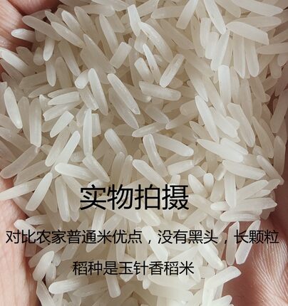 农家自种湖北省恩施长粒农家香米 不抛光打蜡贡米 乡下土货香稻