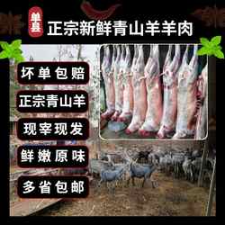 单县青山羊新鲜山羊肉生羊肉散养无腥味去皮羊肉正宗青羊顺丰包邮