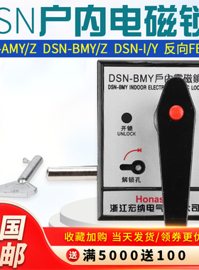 户内高压电磁锁DSN-BMY/BMZ/AMZ/AMY反向变压器开关柜配电箱220v