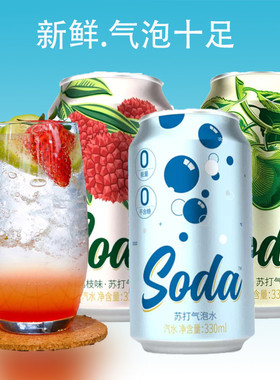 名仁苏打水气泡水便携6罐装无糖饮料0卡汽水苏打气泡水soda330ml