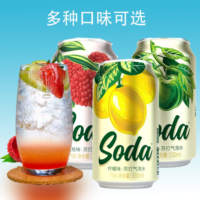 名仁苏打水气泡水12罐无糖饮料0卡汽水苏打气泡水soda330ml*12瓶