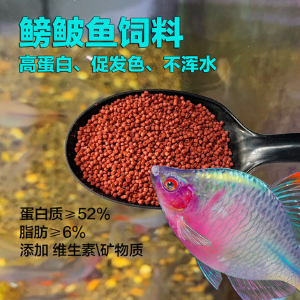 高蛋白鳑鲏鱼饲料原生鱼旁皮鱼增色增艳专用颗粒型鱼食鱼粮下沉
