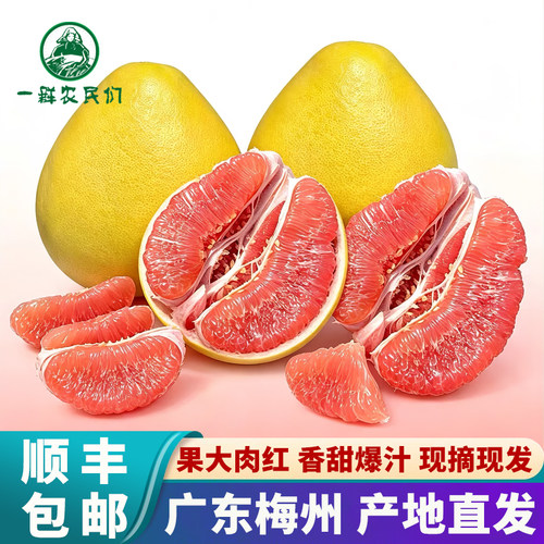 【顺丰包邮】正宗梅州红心蜜柚