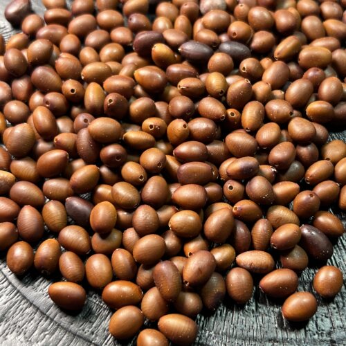 皂角籽富贵籽精筛大小厚8mm左右天然老树籽已打孔散珠150颗可手链
