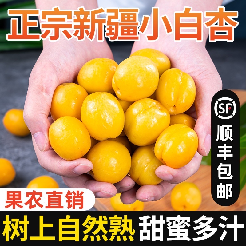 顺丰新疆小白杏新鲜轮台杏子5斤甜杏库车白杏子特产水果当季整箱Z