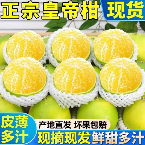 正宗皇帝柑新鲜现摘橘子广西9斤水果当季时孕妇令云南桔整箱包邮Z