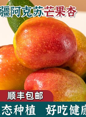 顺丰新疆阿克苏芒果杏吊干杏子新鲜水果特产甜蜜油杏小红杏白杏ZZ