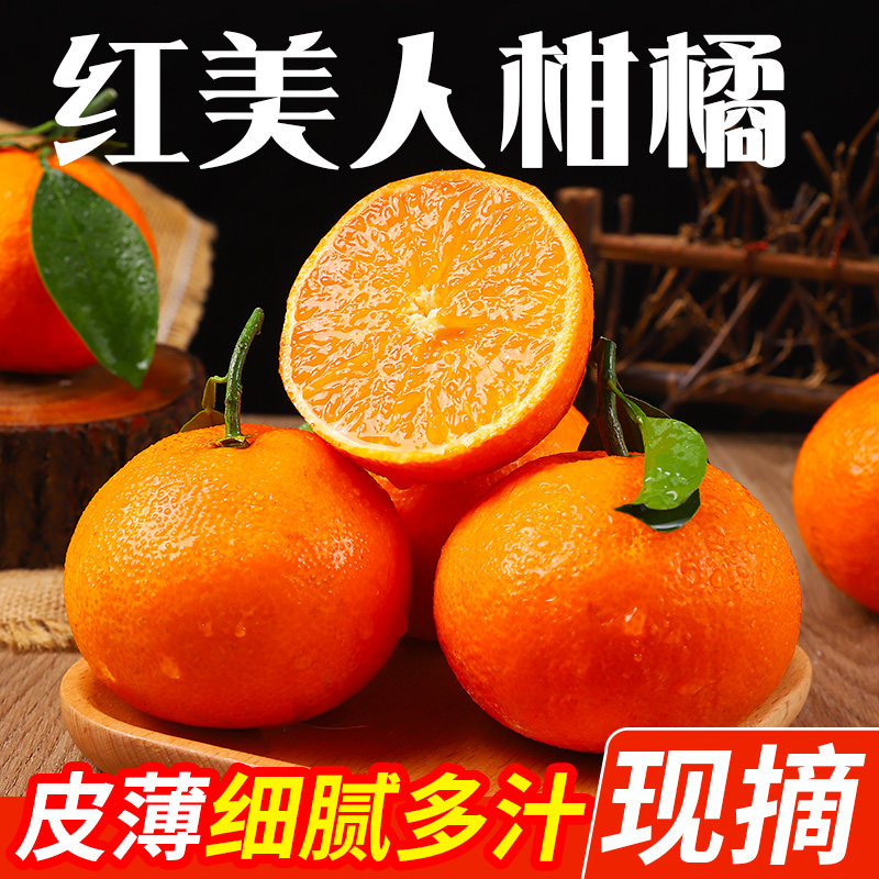 正宗象山红美人柑橘薄皮桔子
