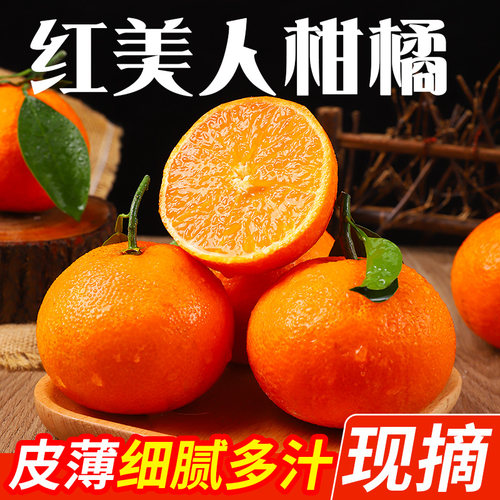 正宗象山红美人柑橘薄皮桔子