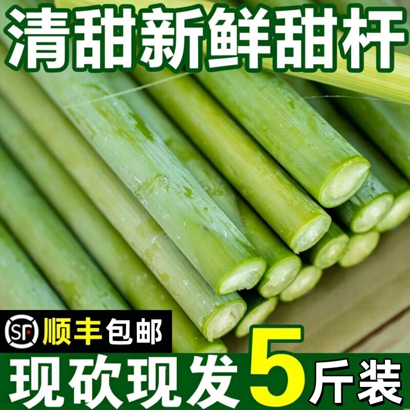 顺丰甜杆生鲜冷链当日现砍新鲜崇明甜芦粟甜杆甜高粱杆小甘蔗ZZ